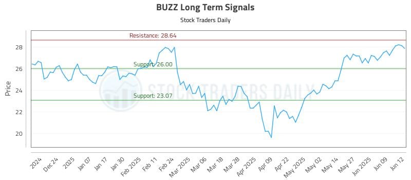 BUZZ Long Term Analysis for June 13 2025