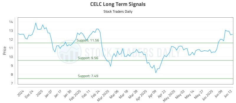CELC Long Term Analysis for June 13 2025 CELC Long Term Analysis for June 13 2025