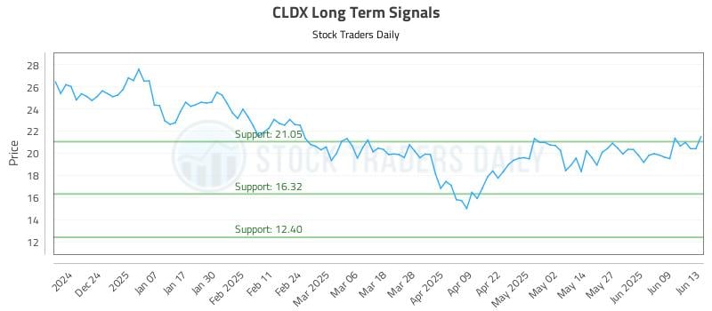 CLDX Long Term Analysis for June 13 2025