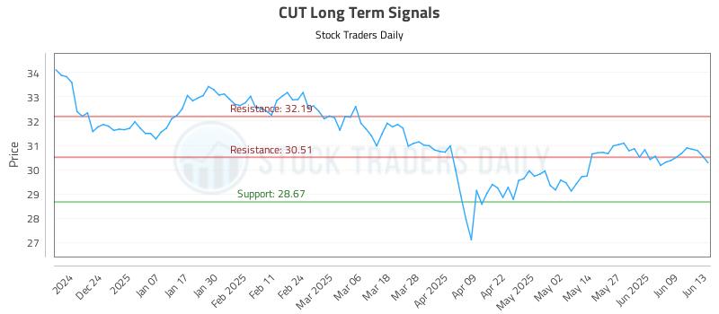 CUT Long Term Analysis for June 13 2025 CUT Long Term Analysis for June 13 2025