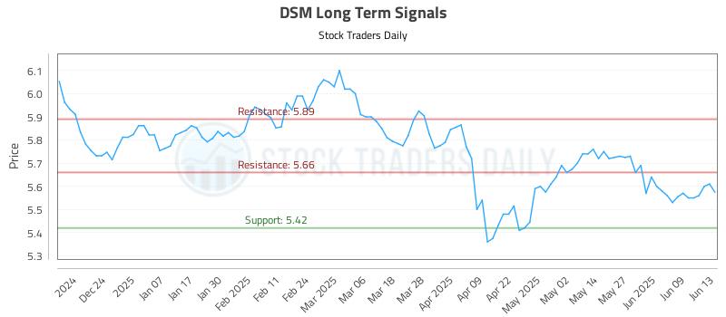 DSM Long Term Analysis for June 13 2025