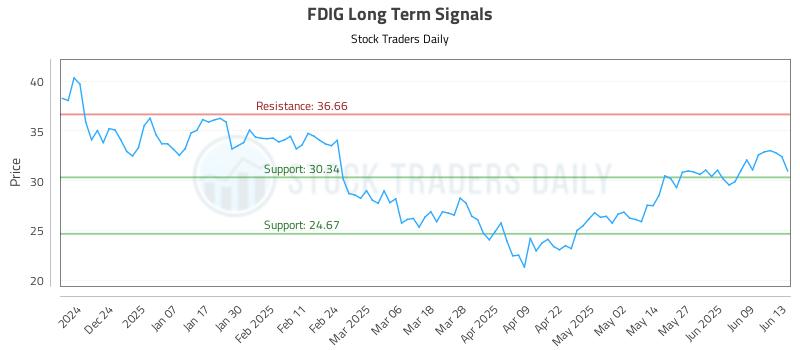 FDIG Long Term Analysis for June 14 2025 FDIG Long Term Analysis for June 14 2025