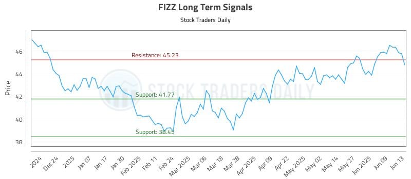 FIZZ Long Term Analysis for June 14 2025 FIZZ Long Term Analysis for June 14 2025