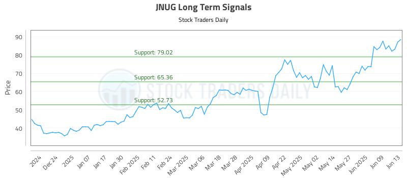 JNUG Long Term Analysis for June 15 2025 JNUG Long Term Analysis for June 15 2025