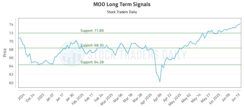 MOO Long Term Analysis for June 15 2025 MOO Long Term Analysis for June 15 2025