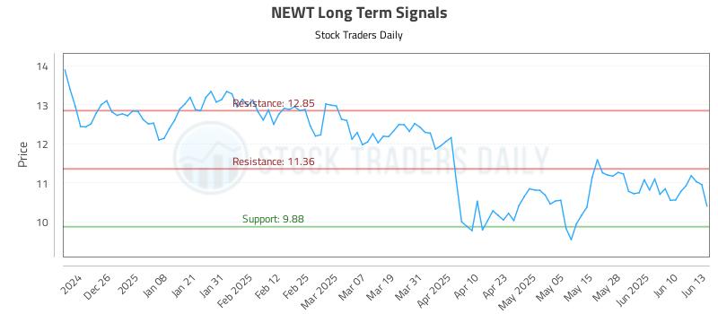 NEWT Long Term Analysis for June 16 2025