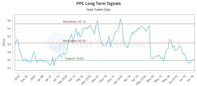 PPC Long Term Analysis for June 16 2025