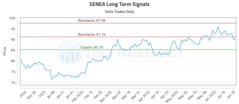 SENEA Long Term Analysis for June 16 2025 SENEA Long Term Analysis for June 16 2025