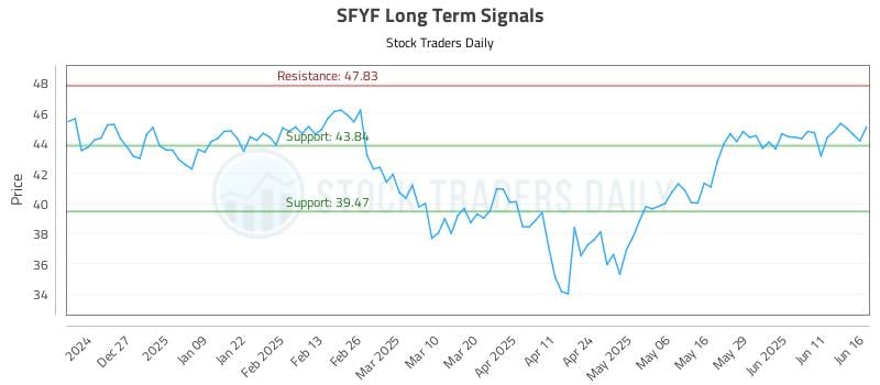 SFYF Long Term Analysis for June 17 2025 SFYF Long Term Analysis for June 17 2025