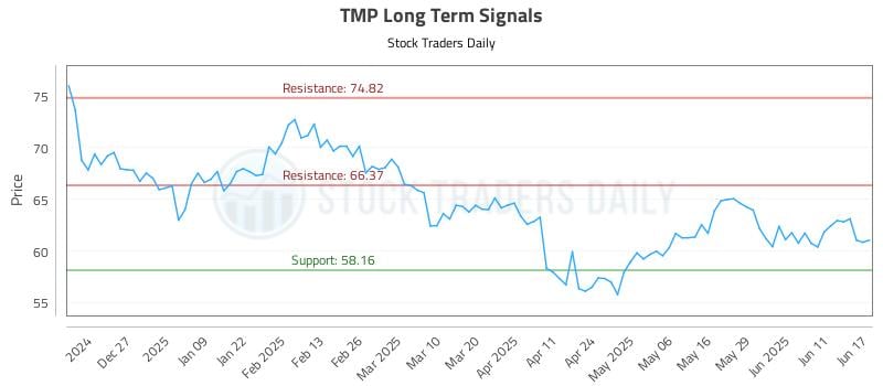TMP Long Term Analysis for June 17 2025 TMP Long Term Analysis for June 17 2025