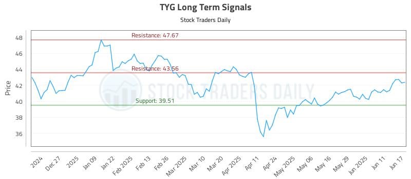 TYG Long Term Analysis for June 17 2025 TYG Long Term Analysis for June 17 2025