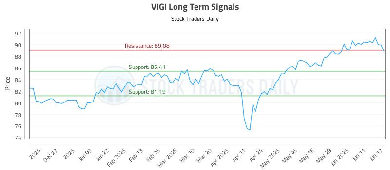 VIGI Long Term Analysis for June 17 2025