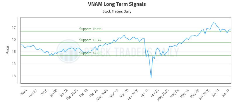 VNAM Long Term Analysis for June 17 2025