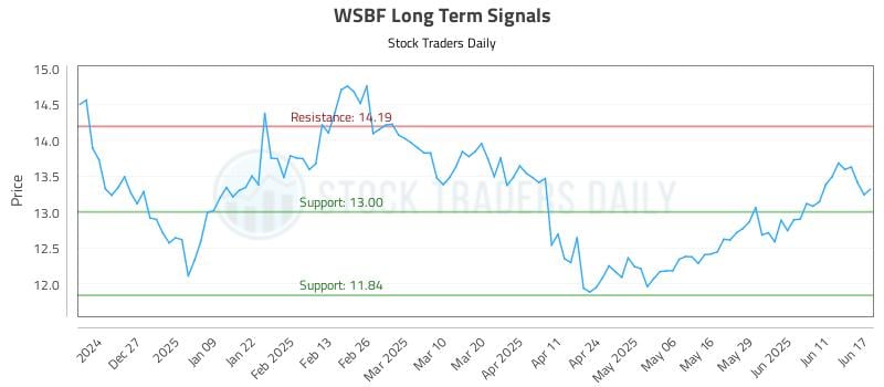 WSBF Long Term Analysis for June 17 2025