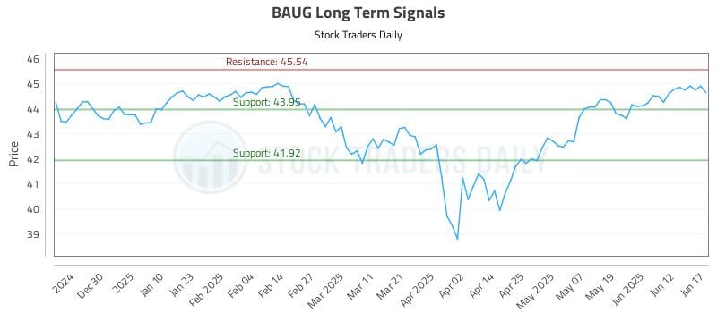 BAUG Long Term Analysis for June 18 2025 BAUG Long Term Analysis for June 18 2025