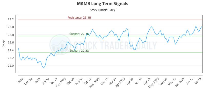 MAMB Long Term Analysis for June 18 2025