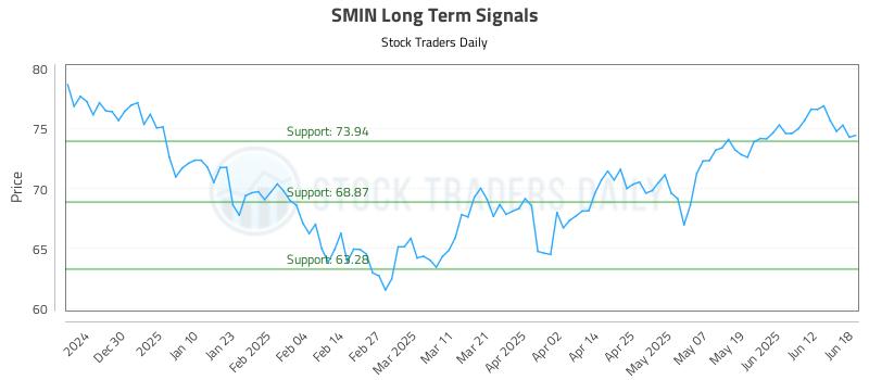 SMIN Long Term Analysis for June 18 2025