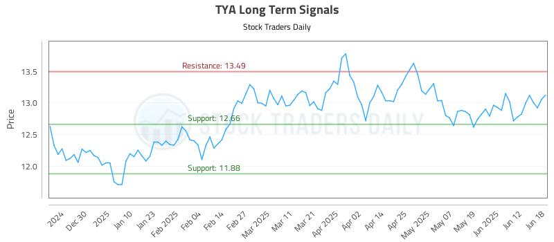 TYA Long Term Analysis for June 18 2025