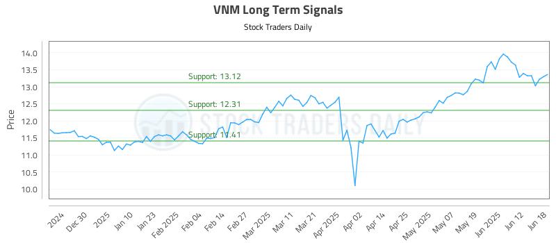 VNM Long Term Analysis for June 18 2025