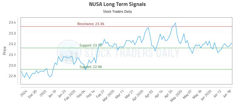NUSA Long Term Analysis for June 18 2025