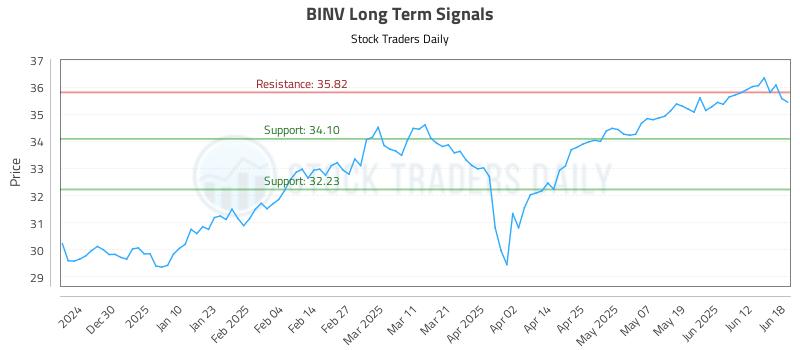 BINV Long Term Analysis for June 19 2025