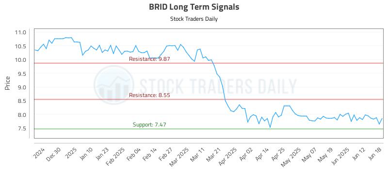 BRID Long Term Analysis for June 19 2025 BRID Long Term Analysis for June 19 2025