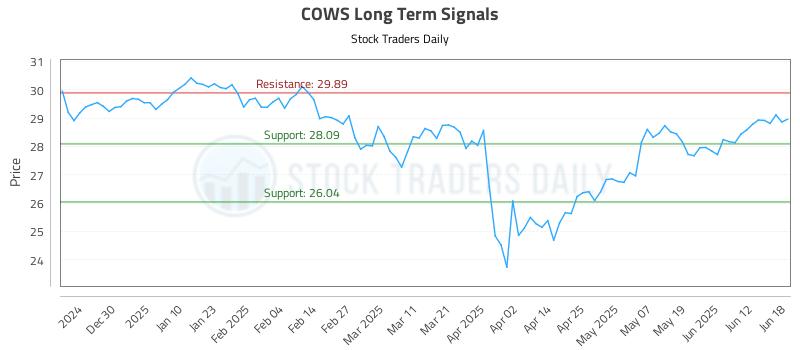 COWS Long Term Analysis for June 19 2025
