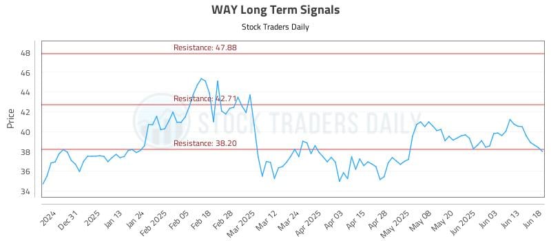 WAY Long Term Analysis for June 20 2025 WAY Long Term Analysis for June 20 2025