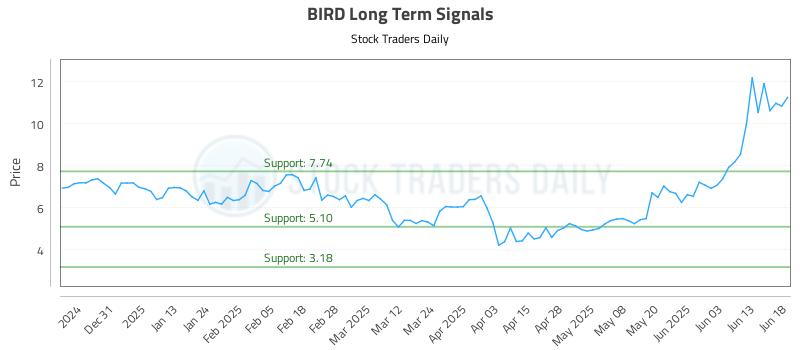 BIRD Long Term Analysis for June 20 2025