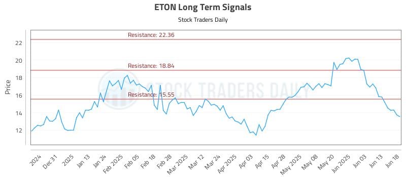 ETON Long Term Analysis for June 20 2025