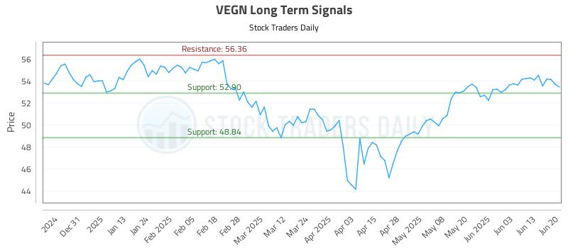 VEGN Long Term Analysis for June 20 2025