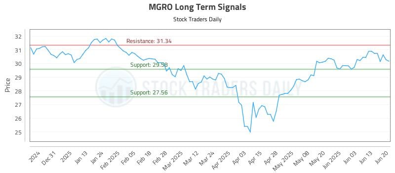MGRO Long Term Analysis for June 20 2025 MGRO Long Term Analysis for June 20 2025