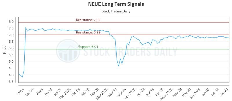 NEUE Long Term Analysis for June 21 2025 NEUE Long Term Analysis for June 21 2025