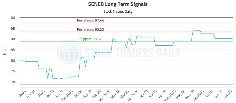 SENEB Long Term Analysis for June 21 2025 SENEB Long Term Analysis for June 21 2025