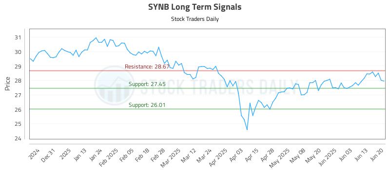 SYNB Long Term Analysis for June 21 2025 SYNB Long Term Analysis for June 21 2025
