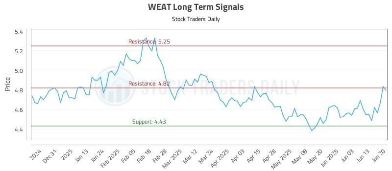 WEAT Long Term Analysis for June 21 2025