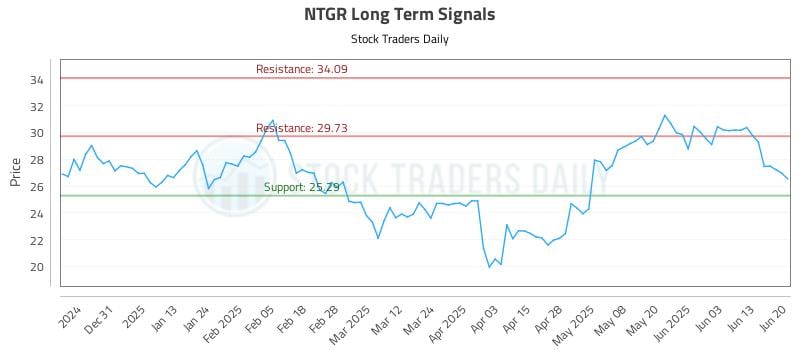 NTGR Long Term Analysis for June 22 2025