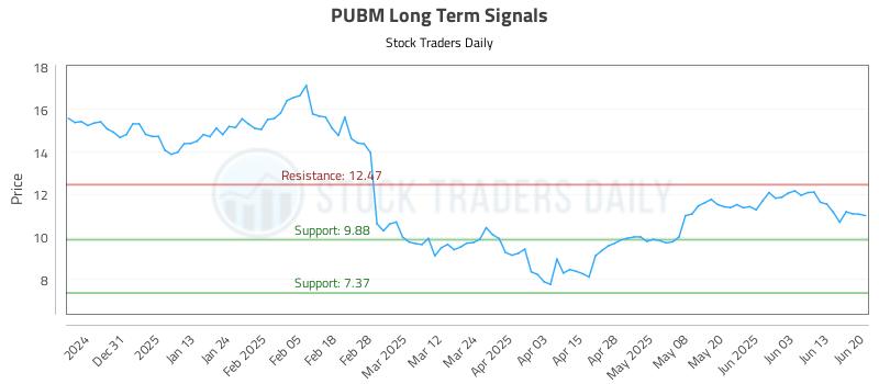 PUBM Long Term Analysis for June 22 2025
