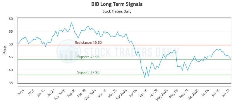 BIB Long Term Analysis for June 23 2025 BIB Long Term Analysis for June 23 2025