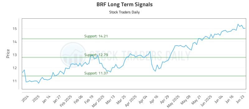 BRF Long Term Analysis for June 23 2025 BRF Long Term Analysis for June 23 2025