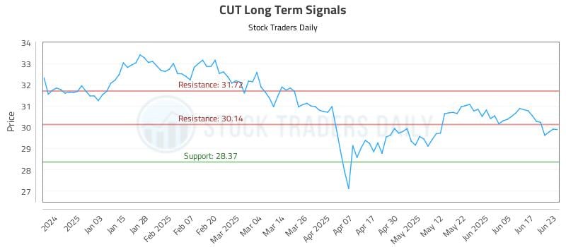 CUT Long Term Analysis for June 24 2025 CUT Long Term Analysis for June 24 2025