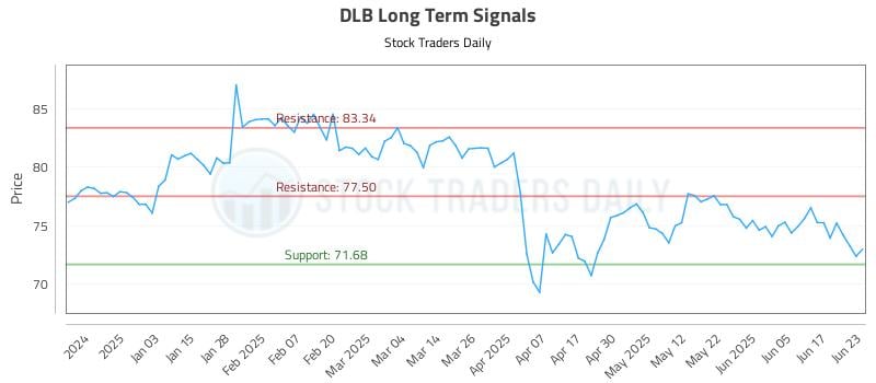 DLB Long Term Analysis for June 24 2025