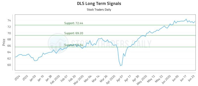 DLS Long Term Analysis for June 24 2025