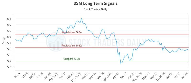 DSM Long Term Analysis for June 24 2025 DSM Long Term Analysis for June 24 2025