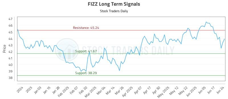 FIZZ Long Term Analysis for June 24 2025 FIZZ Long Term Analysis for June 24 2025