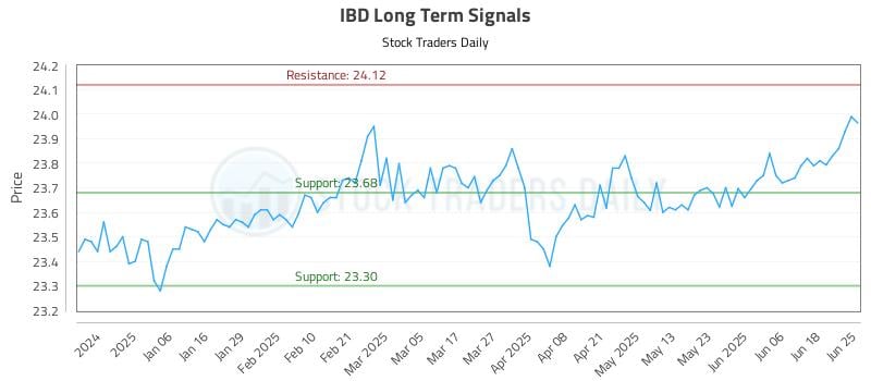 IBD Long Term Analysis for June 25 2025