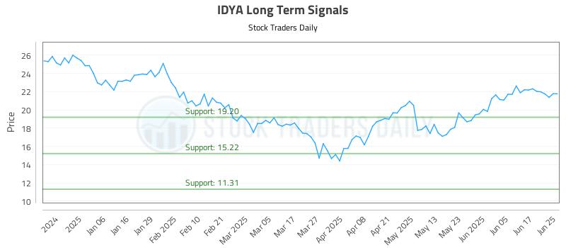 IDYA Long Term Analysis for June 25 2025