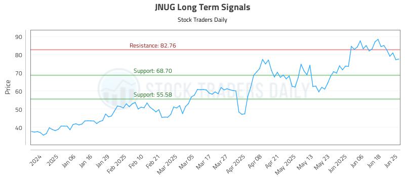 JNUG Long Term Analysis for June 25 2025