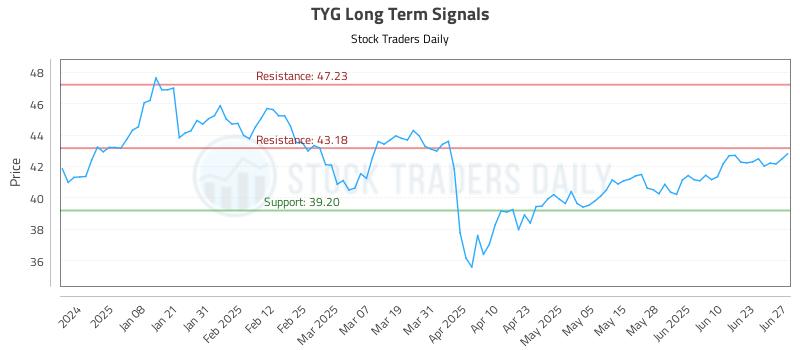 TYG Long Term Analysis for June 28 2025 TYG Long Term Analysis for June 28 2025
