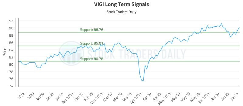 VIGI Long Term Analysis for June 28 2025